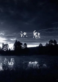 识魅(民俗怪谈) 作者:灰鸢尾讲的啥